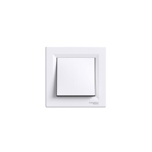 100 003 216