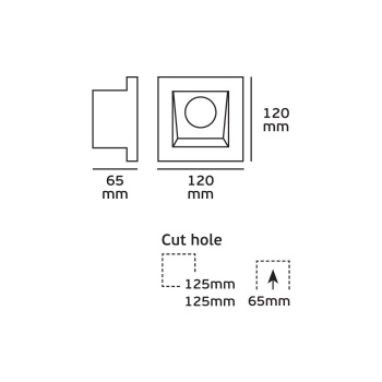 100 006 629 1