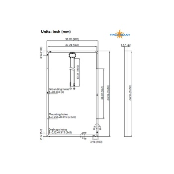 YL250P 29b dims