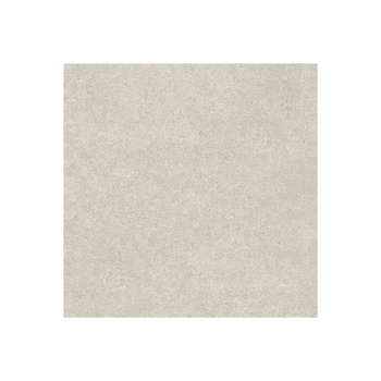 100 010 829